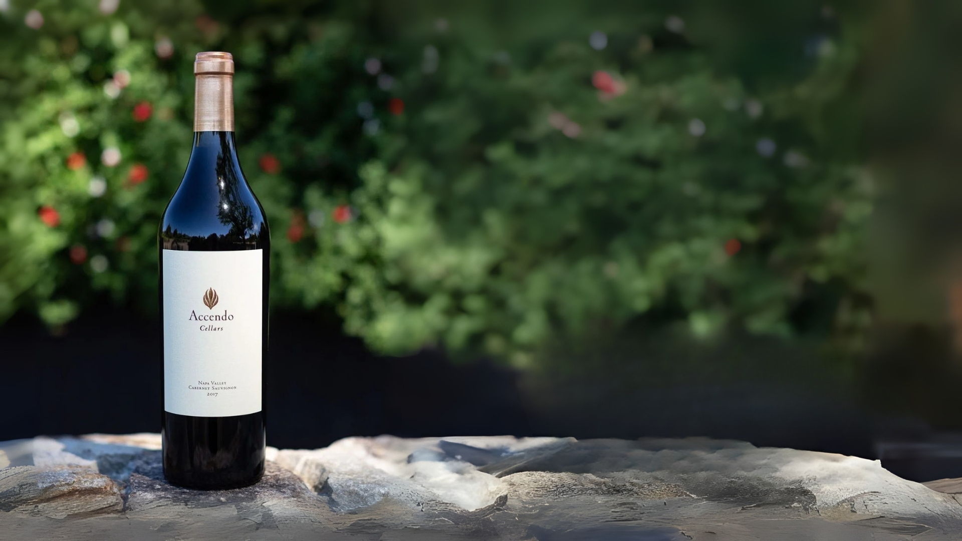 Accendo Cellars Napa Valley Cabernet Sauvignon