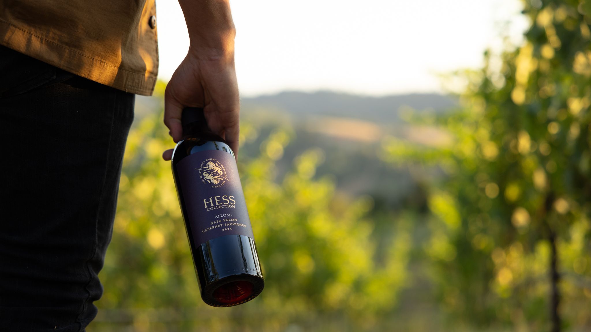 Hess Collection Allomi Cabernet Sauvignon, Napa Valley