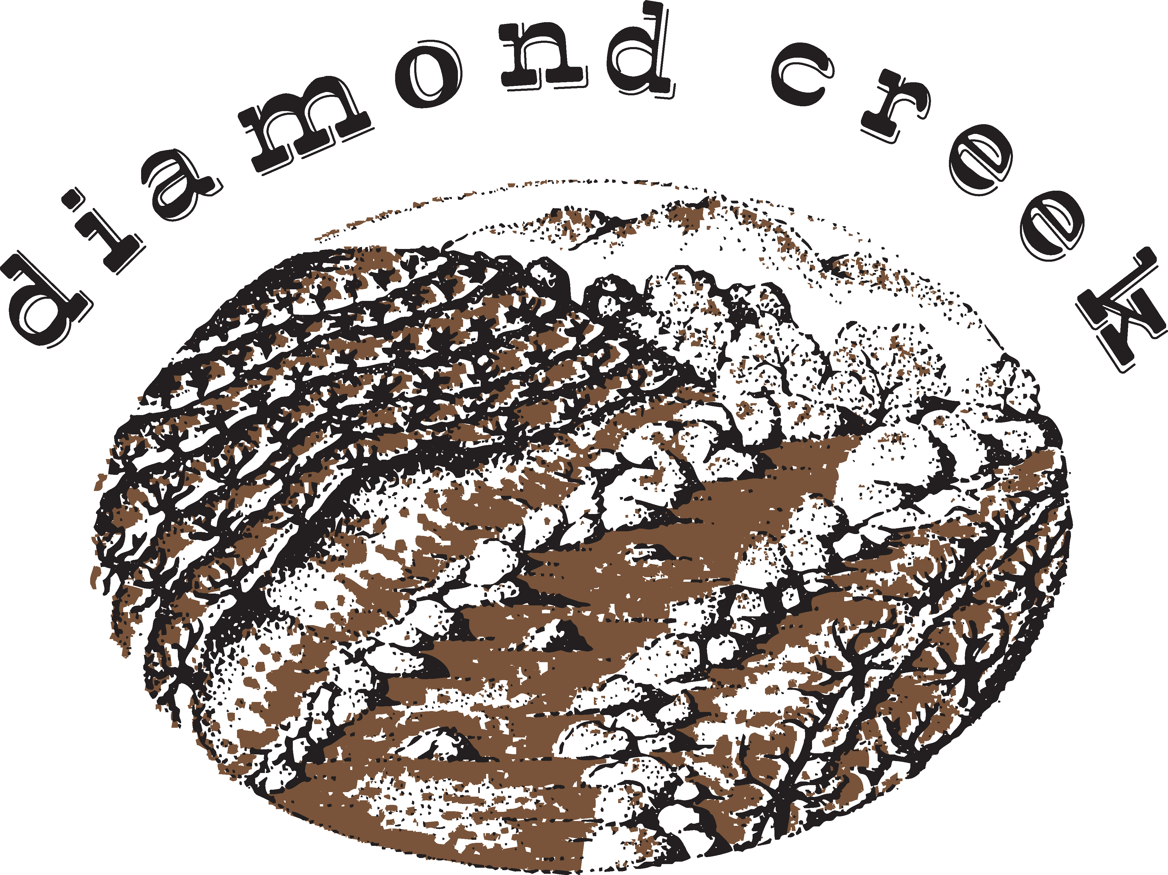 Diamond Creek