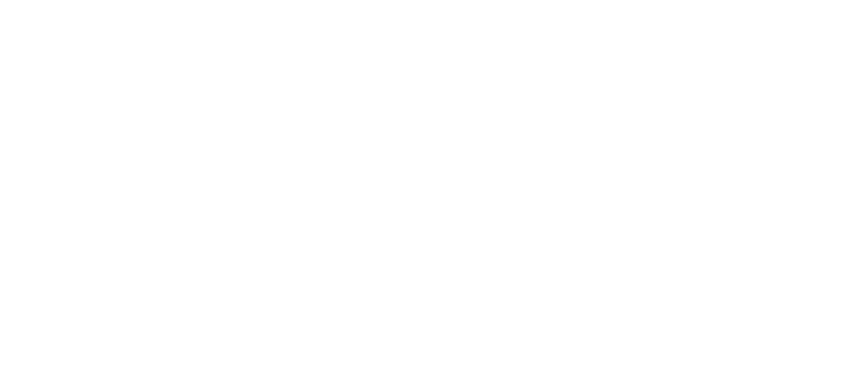 Introvert