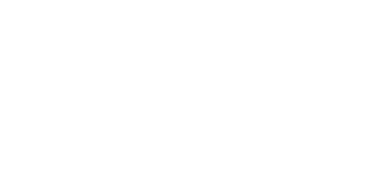 Fly By