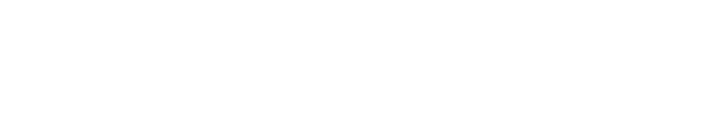 Momentum